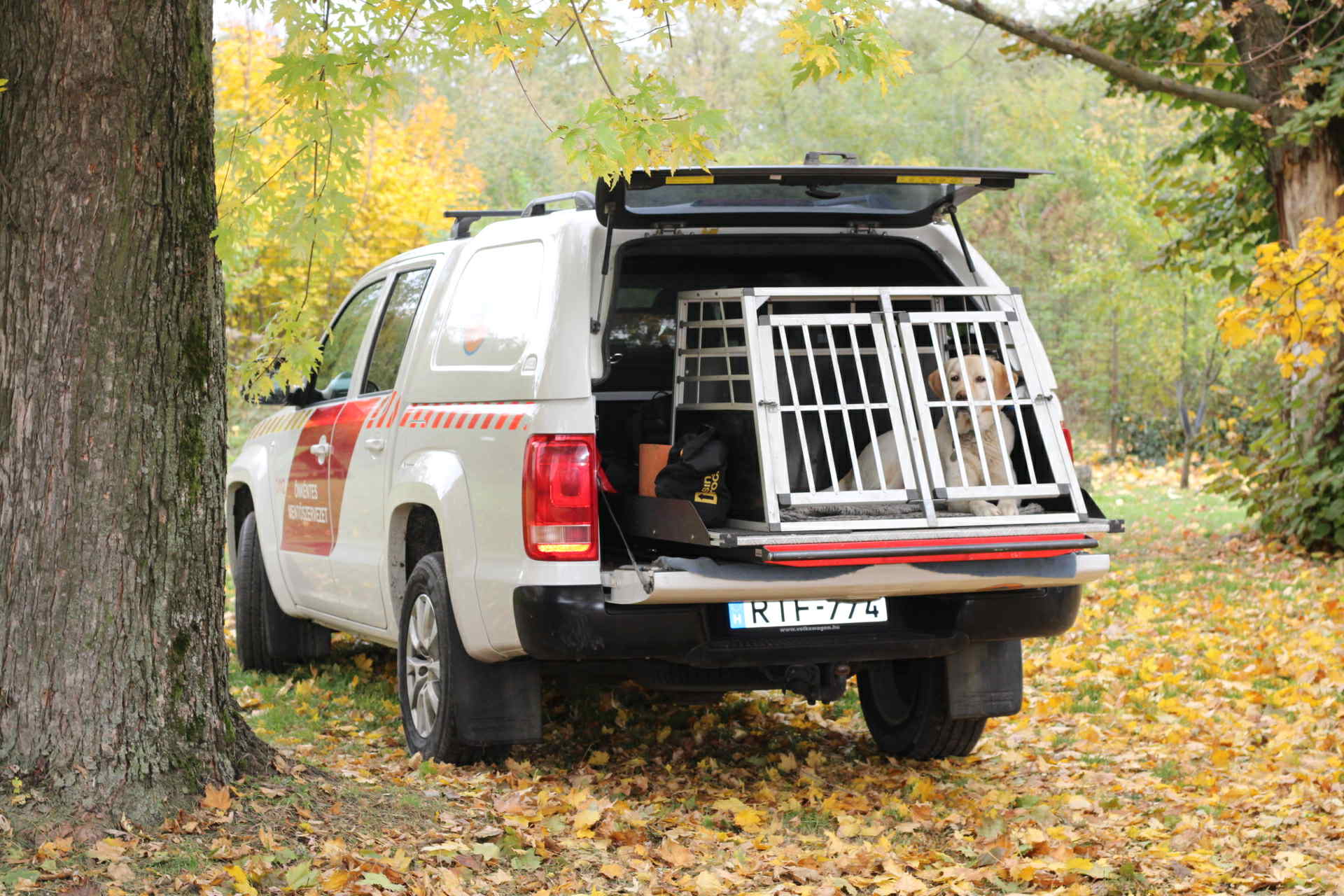 Mentőkutyás szakmai nap és gyakorlat