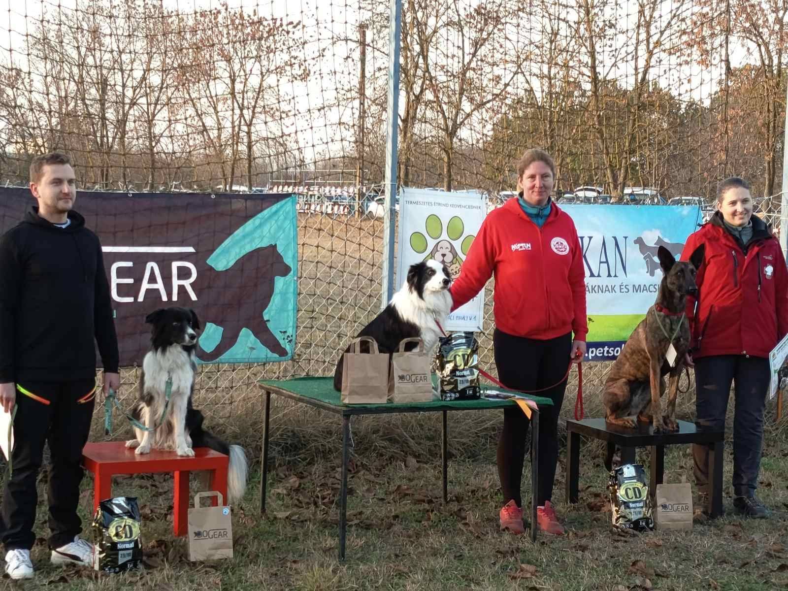 Önkénteseink újabb sikeres vizsgát teljesítettek!
