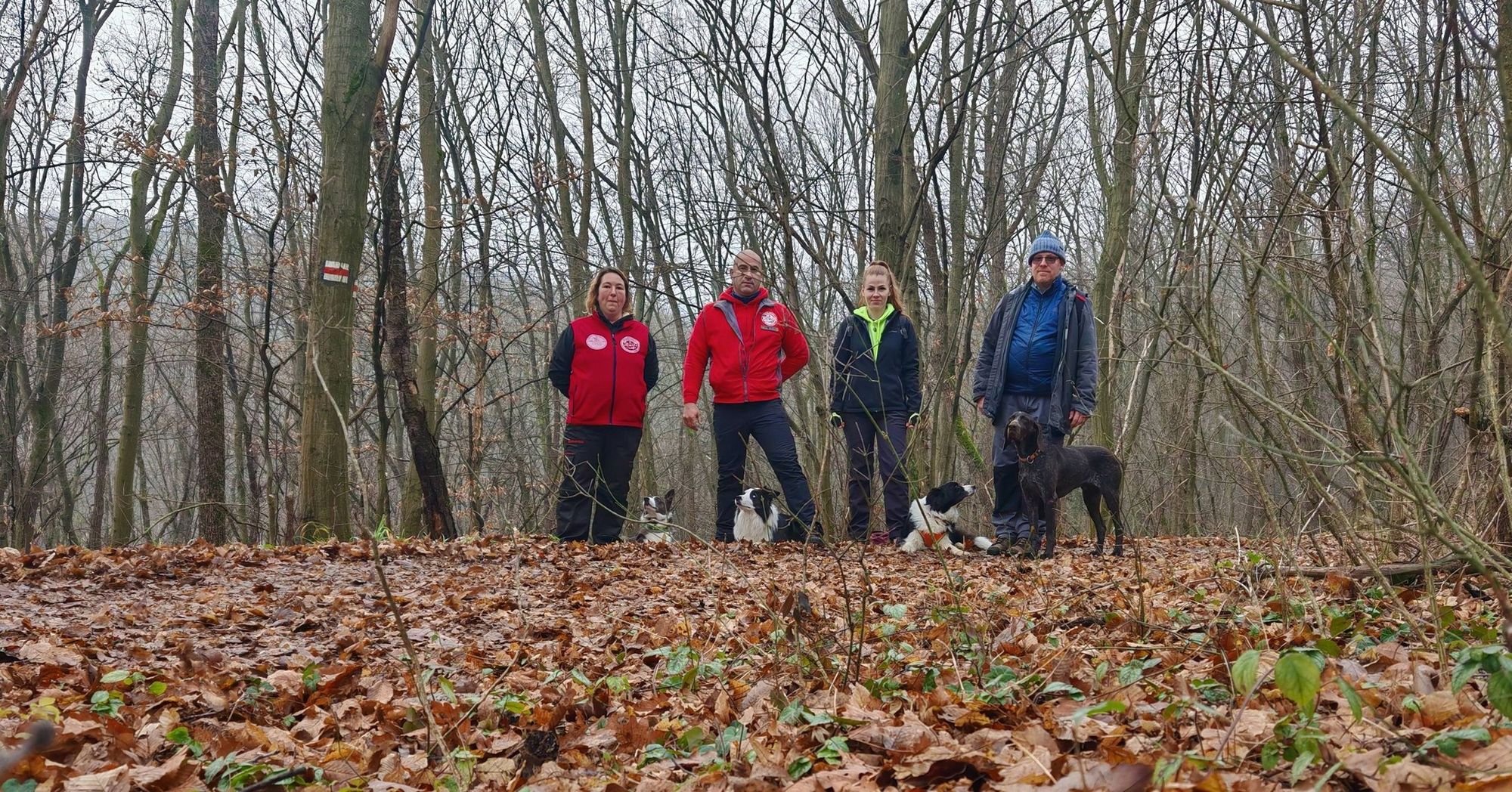 Az önkéntes mentőszervezetek hatékony együttműködése ismét sikerrel zárult