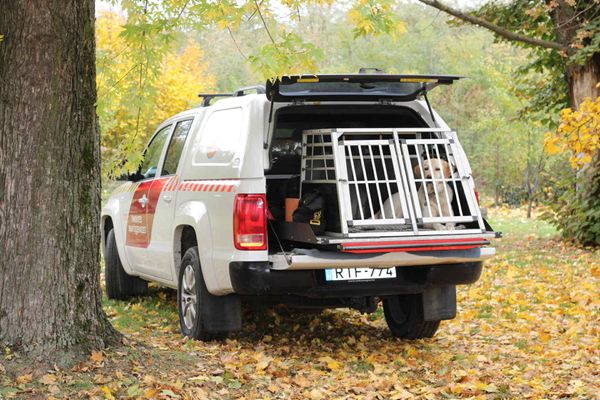 Mentőkutyás szakmai nap és gyakorlat