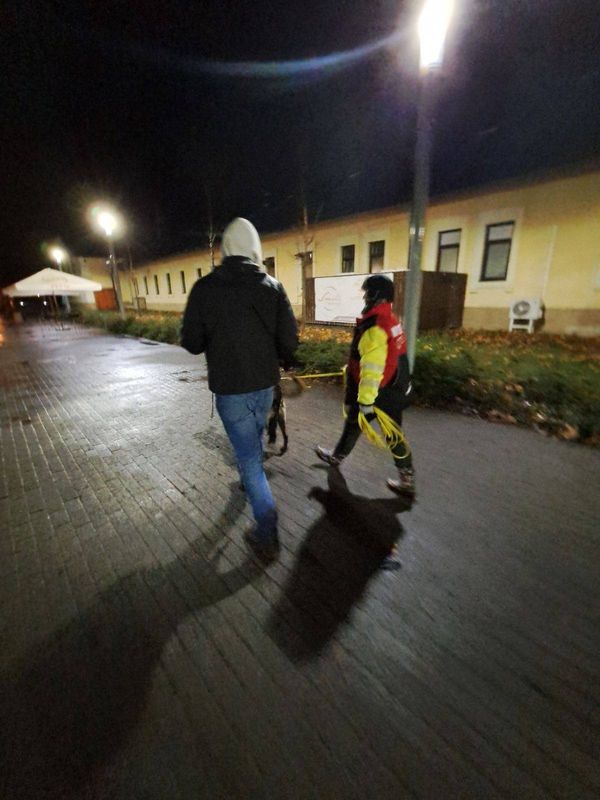 Mantrailinges személykövető szakmai oktatás